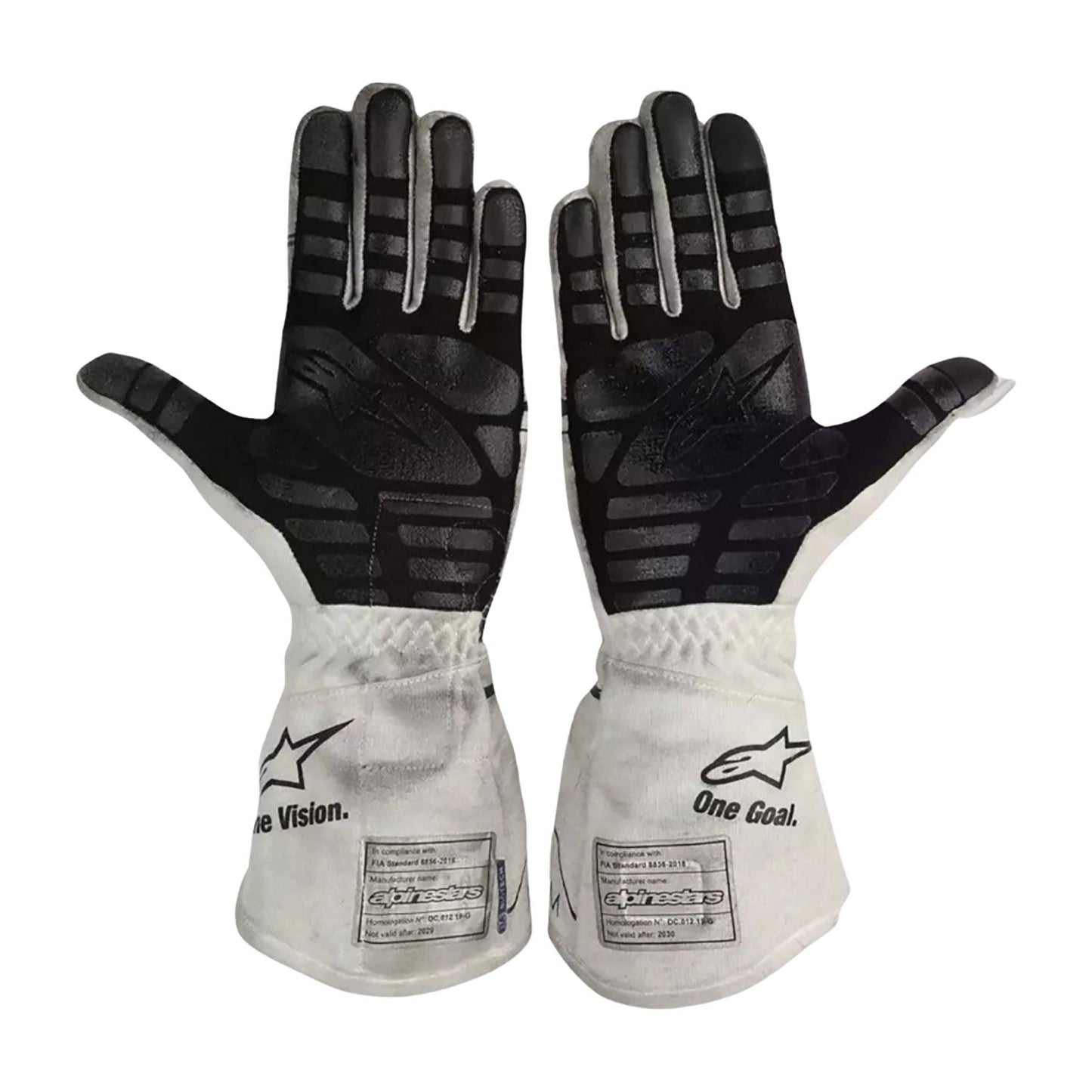 2020 Pierre Gasly Racing Gloves Team F1 AlphaTauri