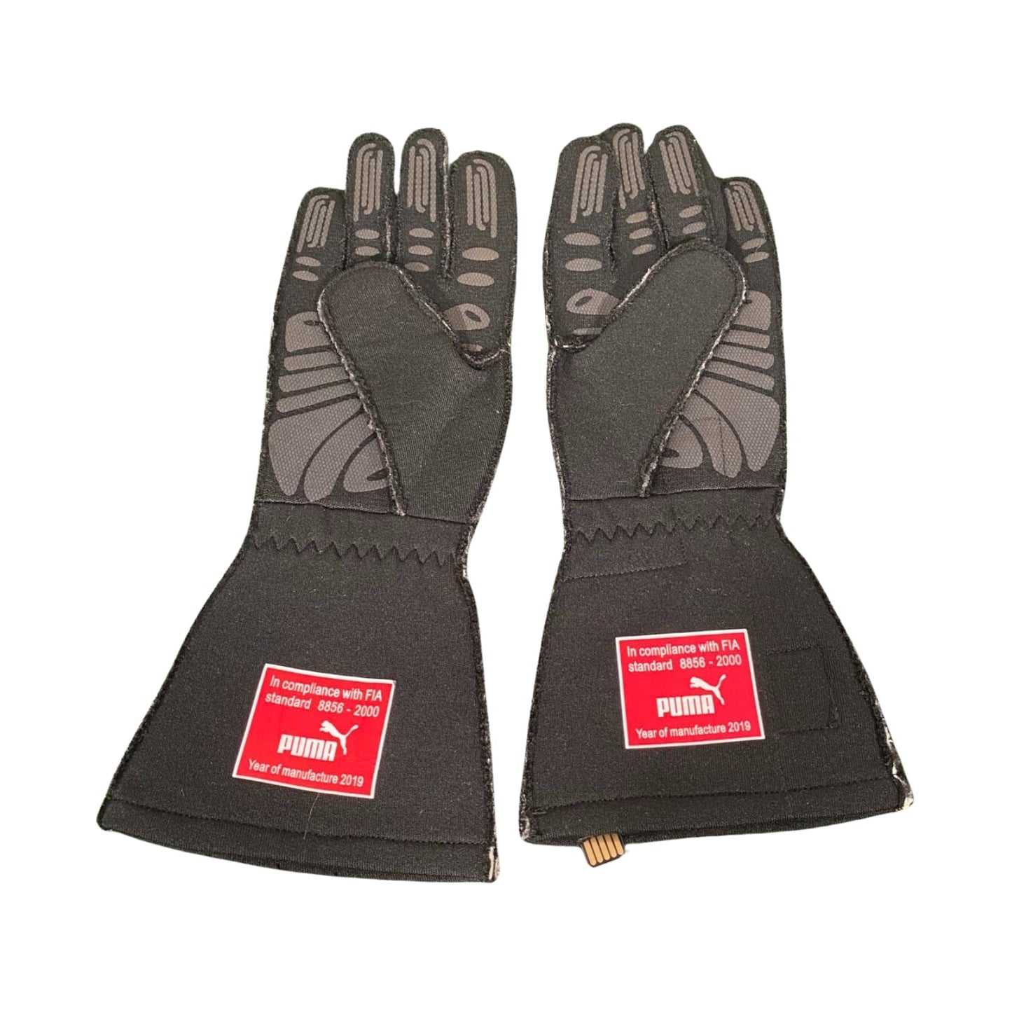 2019 Charles Leclerc Racing Gloves Team F1 Ferrari