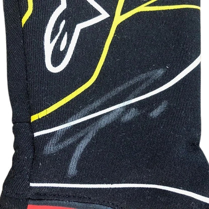2019 Nico Hülkenberg Racing Gloves Team F1 Renault