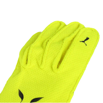 2023 Lewis Hamilton Racing Gloves Team F1 Mercedes